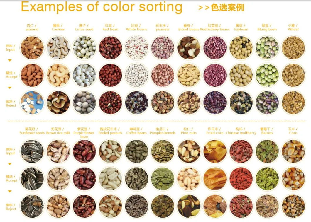 Apricot CCD Color Sorter Machine Raisins Color Sorting Machine