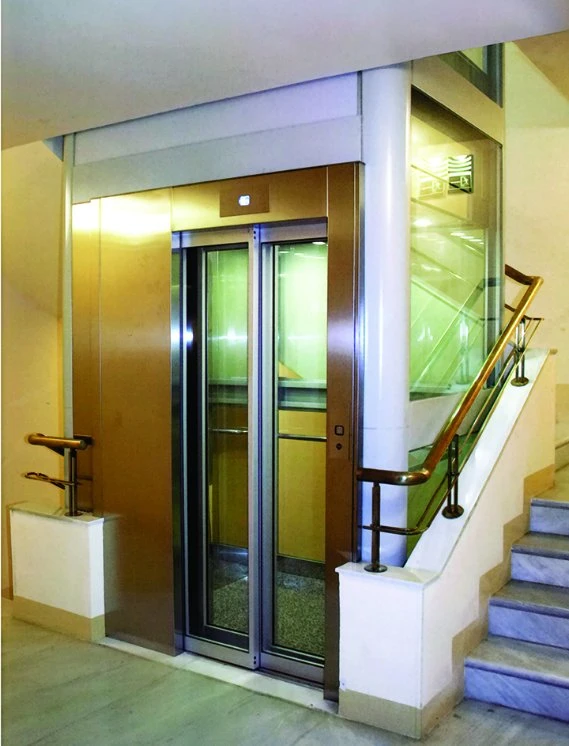 Residential Automobil Cheap Home Passenger Elevator Lift with Professional Services