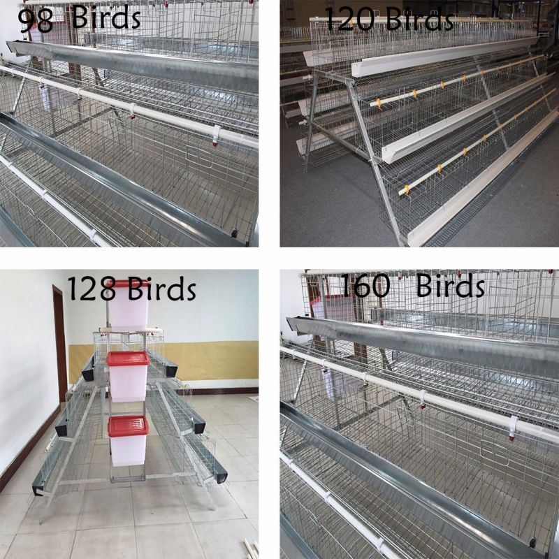 Prefabricated Hot-DIP Galvanized Steel Structure Poultry Chicken Farm with Low Cost