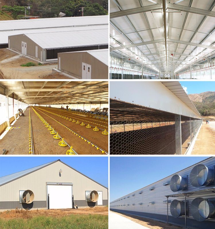 Economy Prefabricated Steel Frame Chicken Houses Building