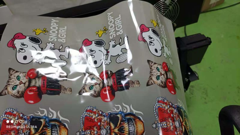 Best-Seller Digital Pet Heat Transfer Printer High Printing Speed with High Quality