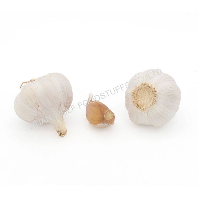 Bulk 500g Per Bag Fresh Pure White Garlic