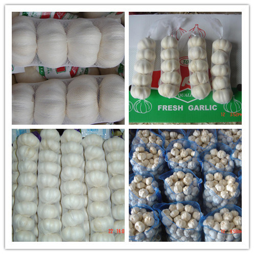250g Fresh Garlic/Pure White Garlic/Normal White Garlic