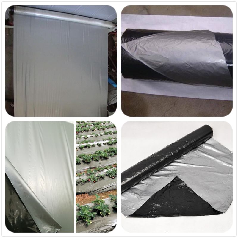 Silver Black and Black White Mulching Film for Tomato Planting