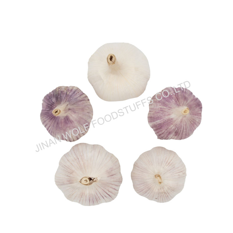 4cm 4.5cm 5cm 500g Per Bag Fresh Normal White Garlic