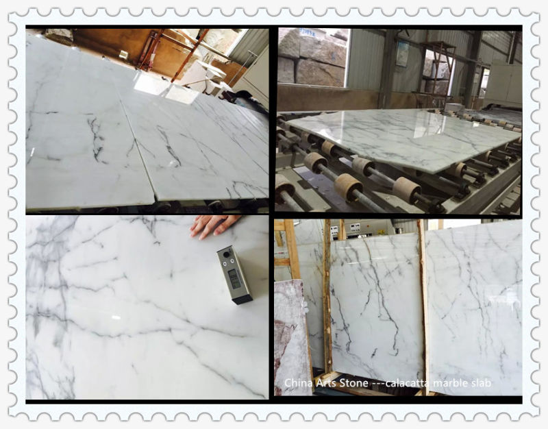Bianco White Marble with Grey Line Slab for Tiles and Countertops