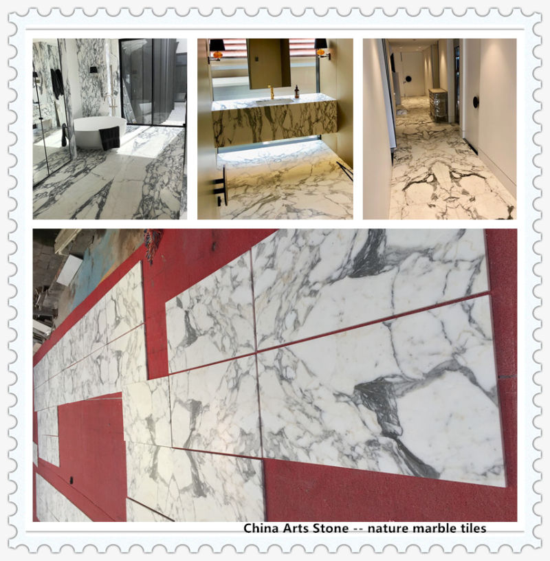 Bianco White Marble with Grey Line Slab for Tiles and Countertops