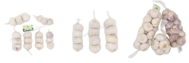 Chinese Garlic Exporter 500g Per Bag Fresh Normal White Garlic