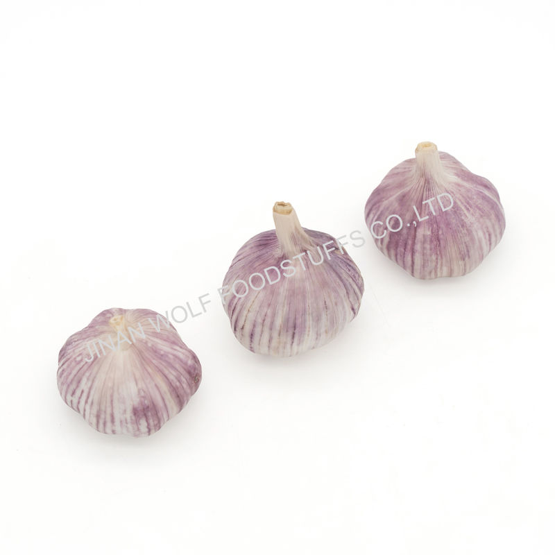 Bulk 500g Per Bag Fresh Normal White Garlic