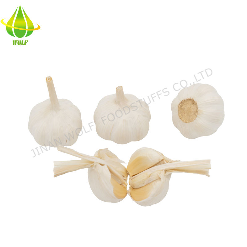 Bulk 500g Per Bag Fresh Pure White Garlic
