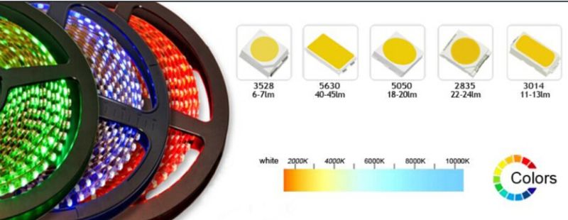 Manufacturer 60LED/M Warm White/White SMD2835 Flexible LED Strip