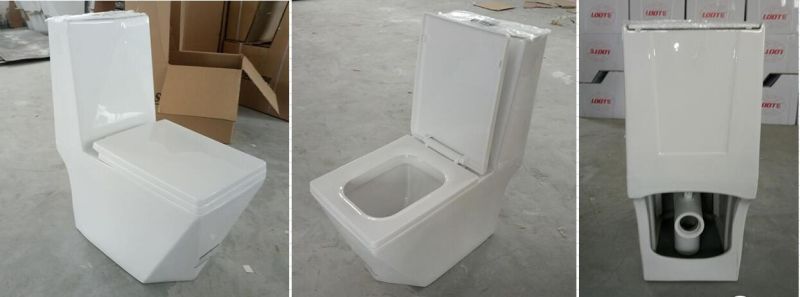 White Ceramic One Piece Sanitary Floor Stand Diamond Water Closet