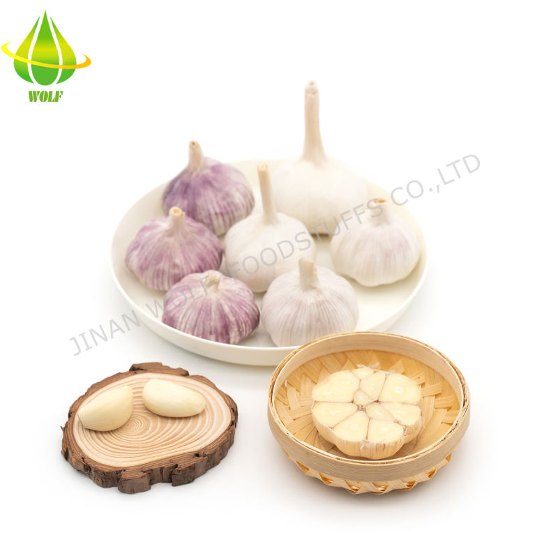 Wholesale Price 1kg*10 Bag Fresh Normal White Purple Garlic