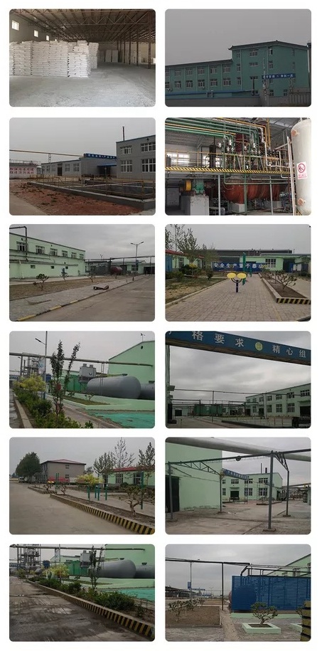 Chemical Products of Hydroxypropyl Cellulose HPMC for White Cement Admixtures Putty Powder