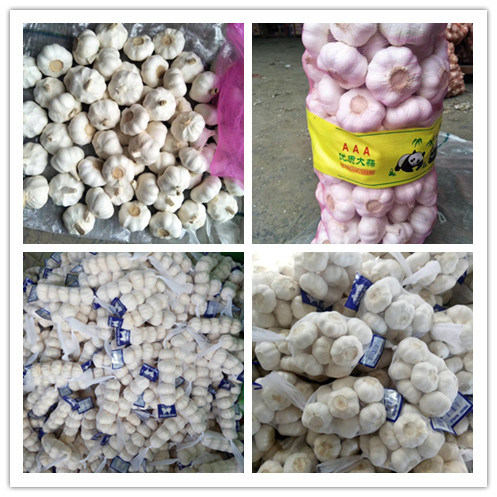 New Garlic with Fresh Normal Pure White Garlic From China
