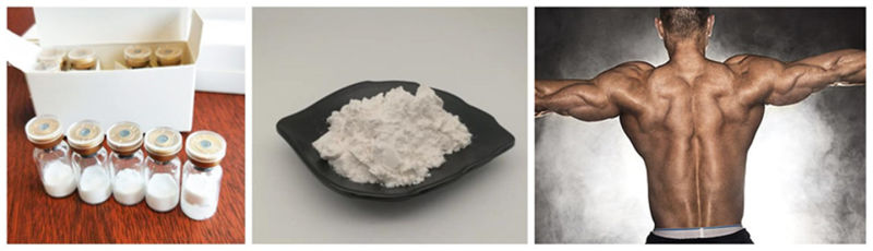 Good Effects Steroid Raw Powder Methyltrienolong for Body Builders Fitness
