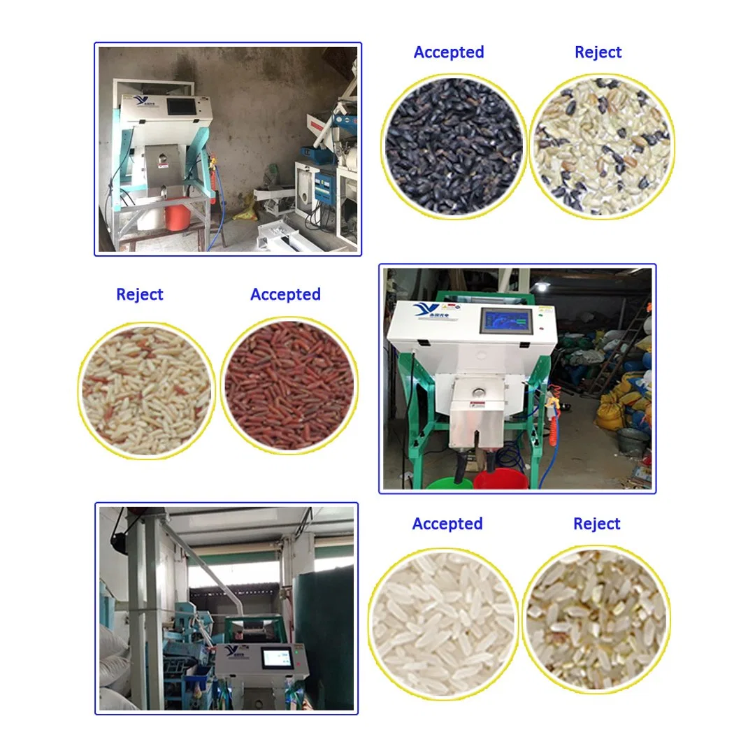 5 Chutes Automatic White Red Black Rice Color Sorter Rice Select Machine