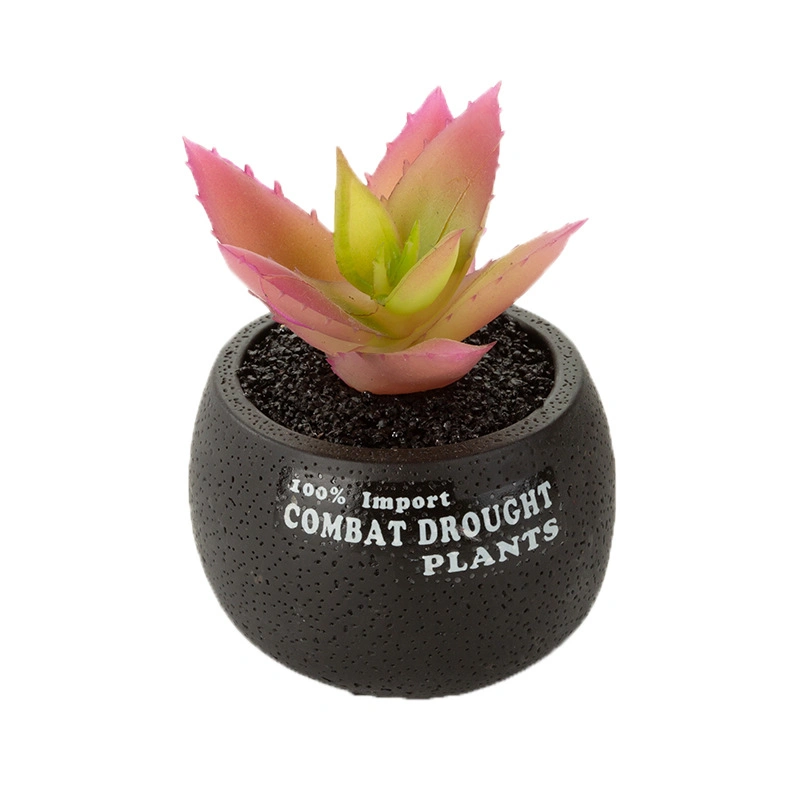 Succulent Small Cement Flower Pot with White Textures