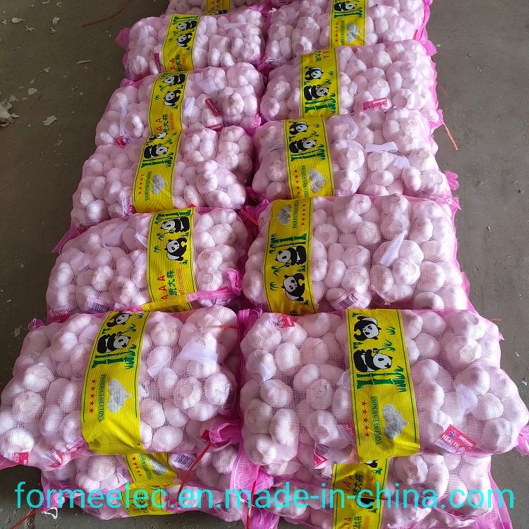 Pure White Garlic Normal White Garlic Fresh Garlic Chinese Garlic