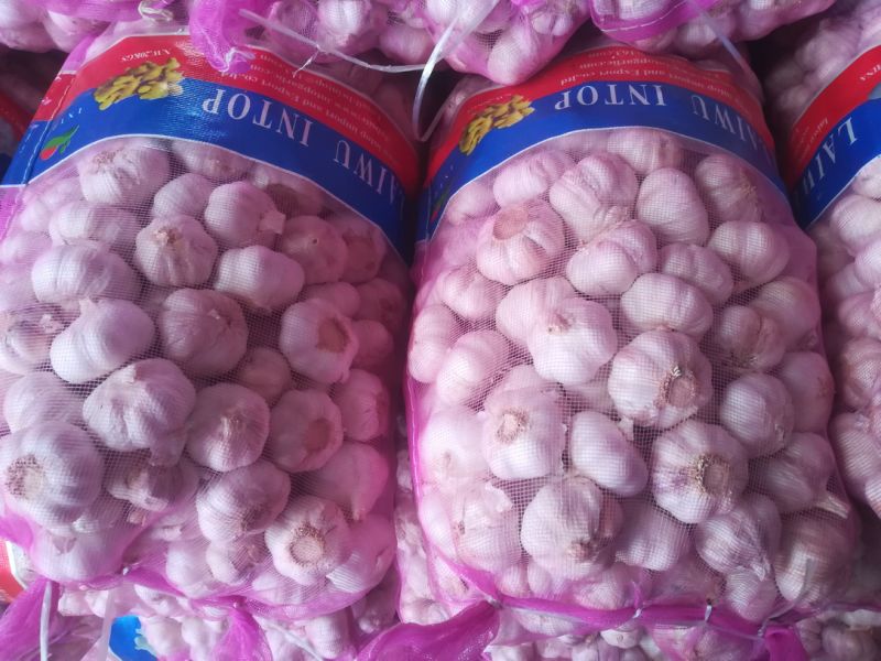 2019 New Season Fresh Garlic Normal White & Pure White Garlic