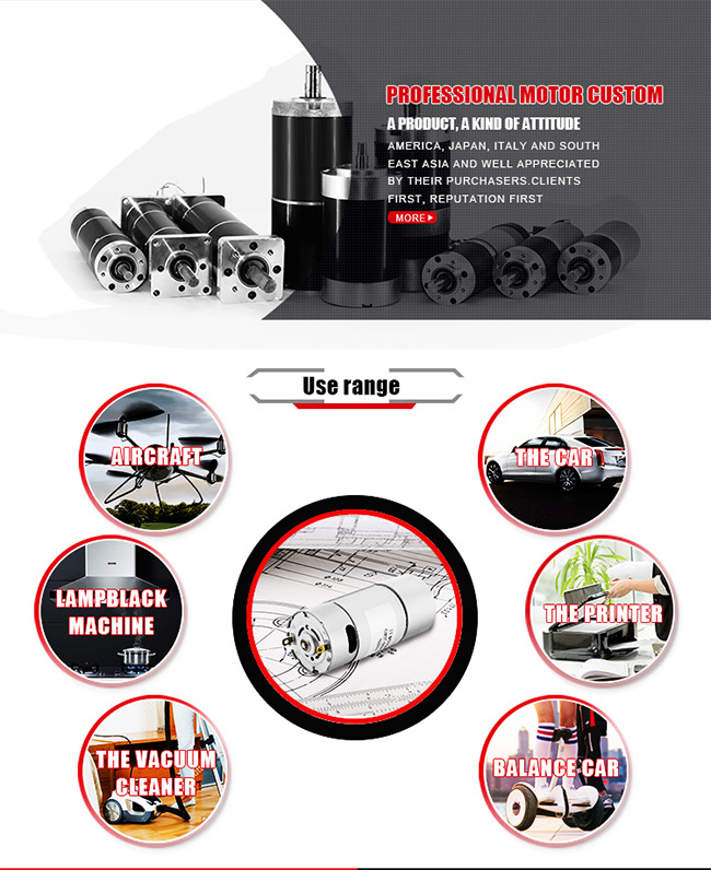 Electric 6V 12V DC brushless motor for Smart Metering