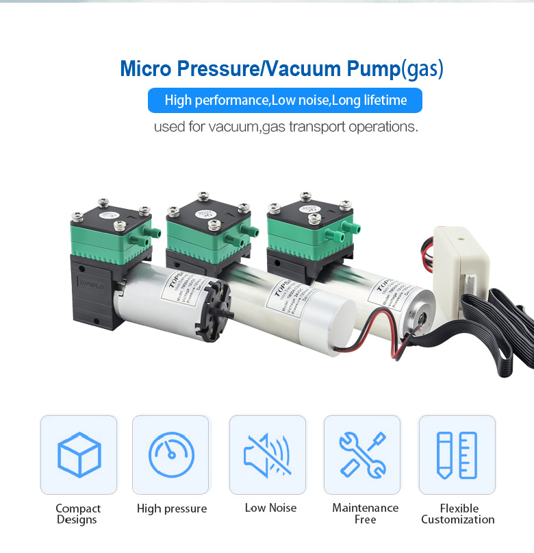 Micro 12V or 24V DC Self-Priming Pump (DC brushless motor)