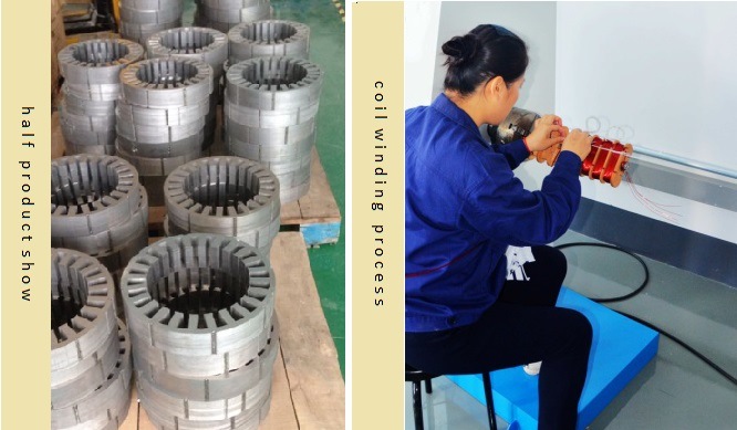 Customized Electric Vehicle Brushless DC Motor 1kw 3000rpm 24V
