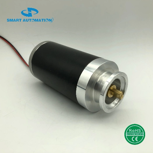 12 Votl 24 Volt Air Pump DC Motor Used for Medical Equipments