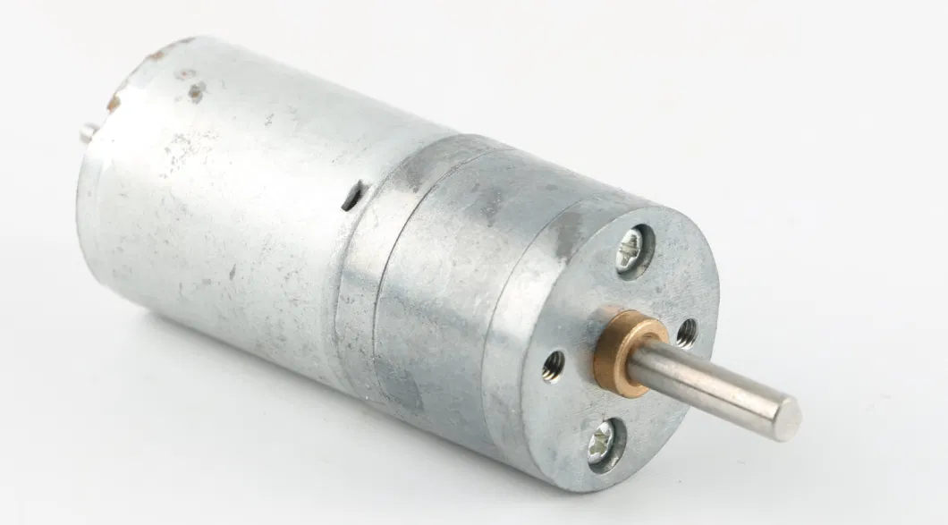 25mm 24V DC Worm Gear Motor Two Way Motor Specifications