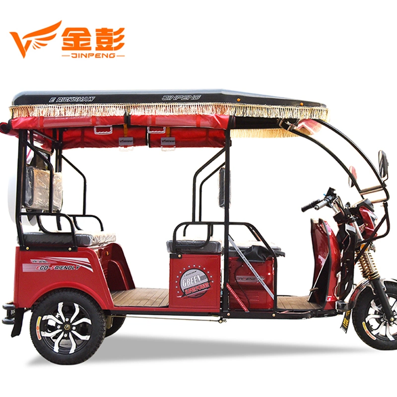 Hot Sales 60V 1000W Motor 3 Wheel Electric Passenger Taxi Rickshaw for 5-6 Persons