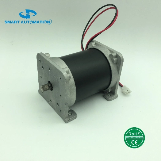 12 Votl 24 Volt Air Pump DC Motor Used for Medical Equipments