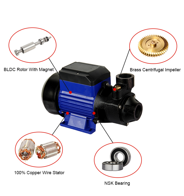 High Head Water Pump 36 Volt Solar Surface Pump