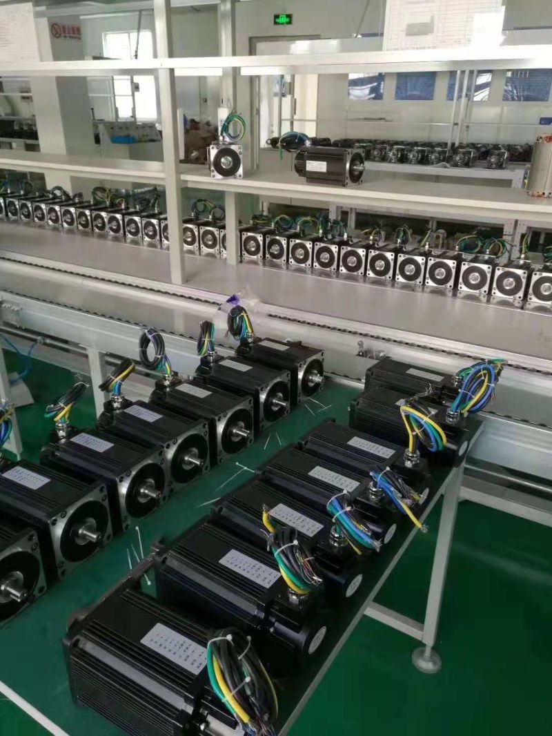 48V 1500W BLDC Motor with Hall Sensors BLDC Motor 1200 Watt Brushless DC Motor