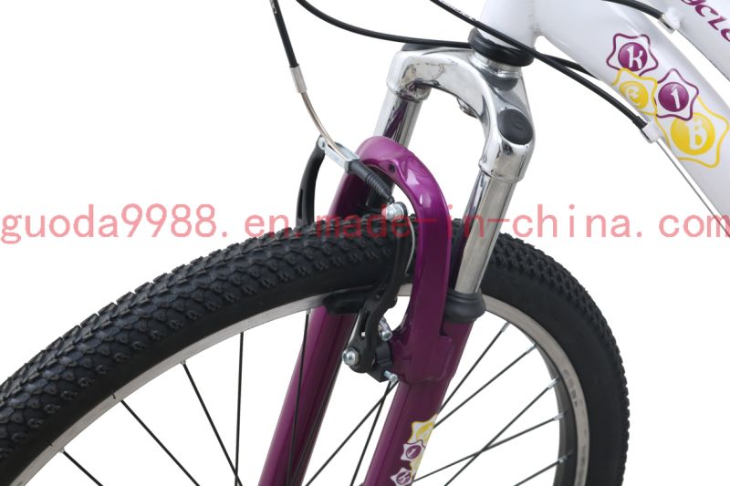 Chinese Bicycles 21speed Steel Frame 26" Mountain Bike OEM Adult Bicycles