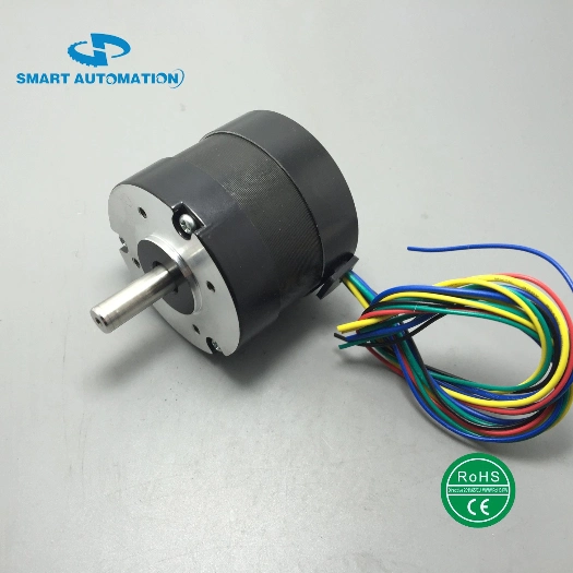 12V 24V 36V 48V 4000rpm Brushless DC Motor Rated 50W 100W 200W