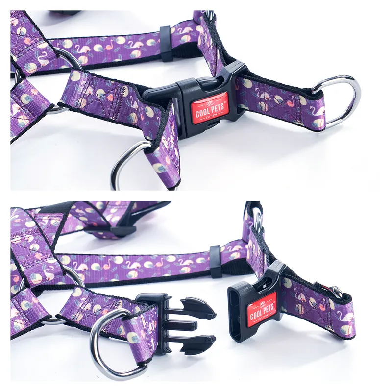 Pet Products Easily-Put on Sublimation Basic Nylon Harness