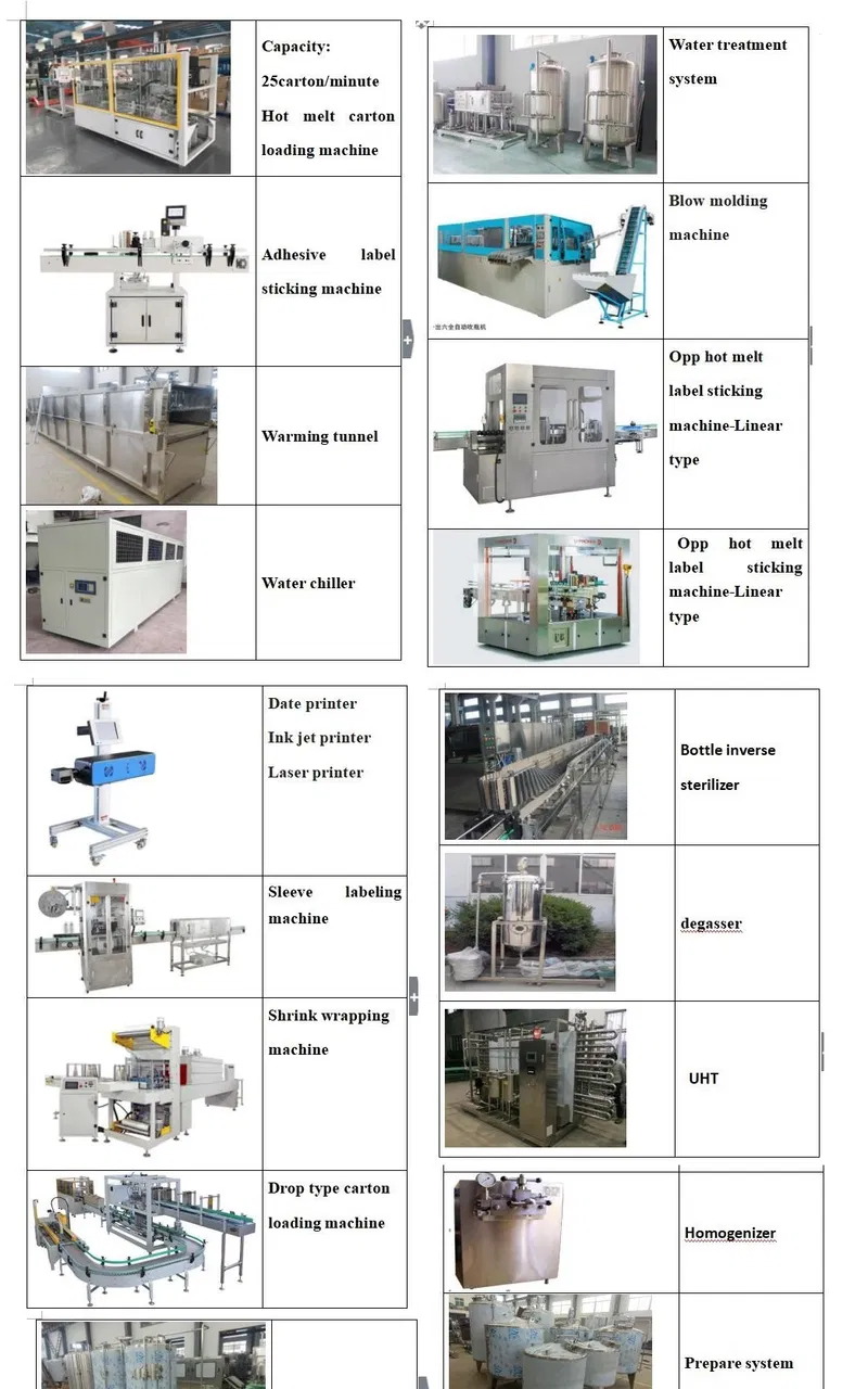 Water Treatment Plant with Pet Drink Water Filling Bottling Plant