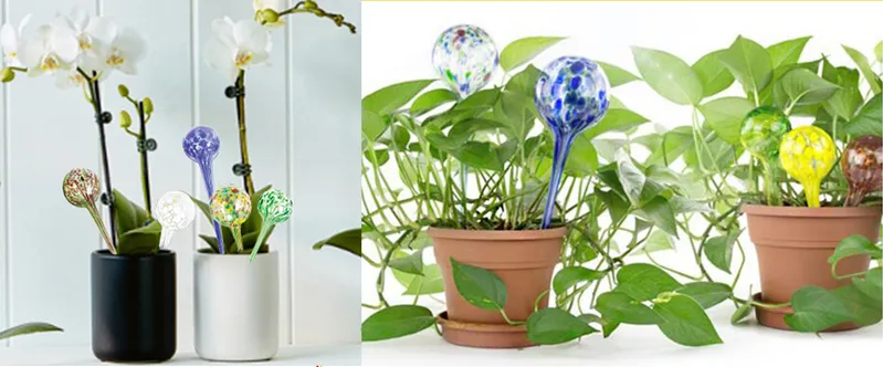 Large Automatic Watering Plant Water Dispenser