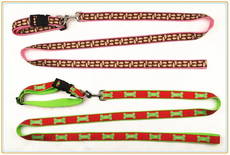 Pet Appliance Dog Leash for Large Dogs Worldwide Standard