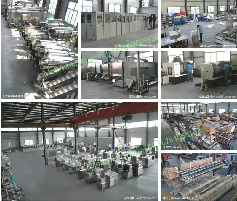 Laboratory Twin Screw Extruder to Produce Pet Food Animal Food