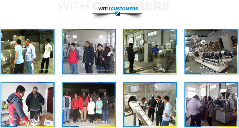 Double Screw Extruder Machine for Fish Pet Food