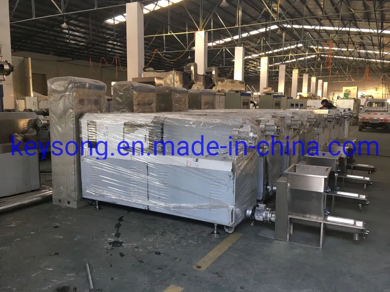 Twin Extruder Pet Food Fish Food Processing Line