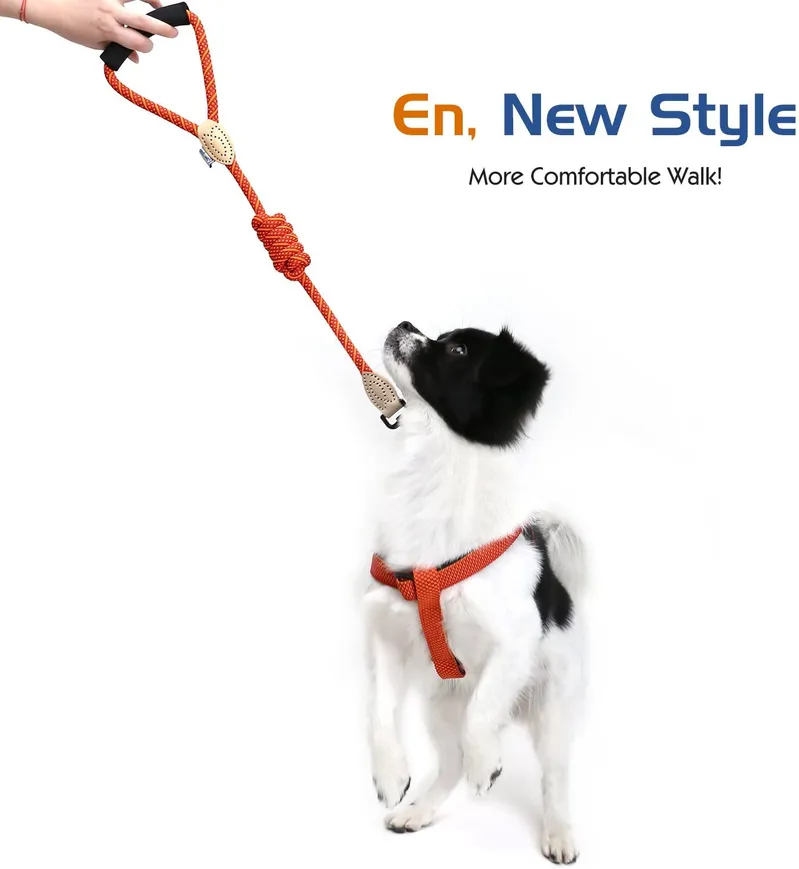 Dog Leash Harness Set Durable Adjustable Heavy Duty No Pulling Dog Harness