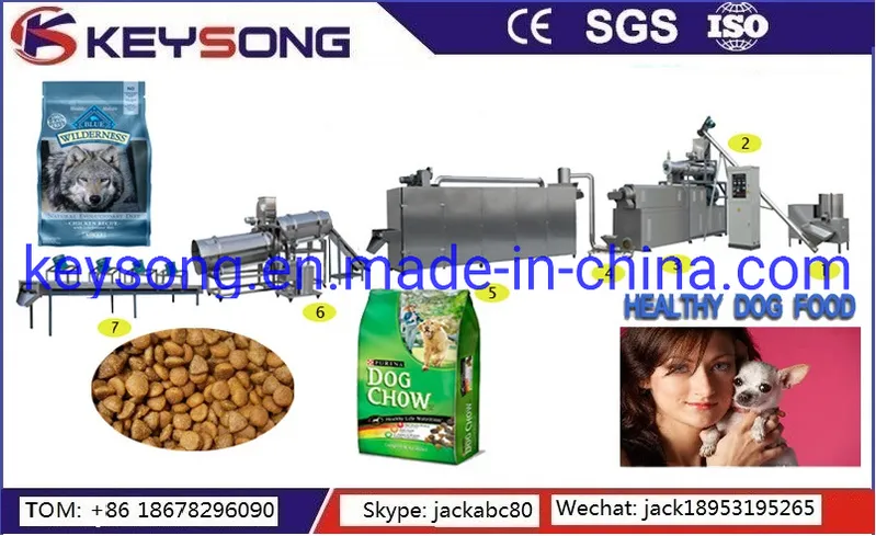 Twin Extruder Pet Food Fish Food Processing Line