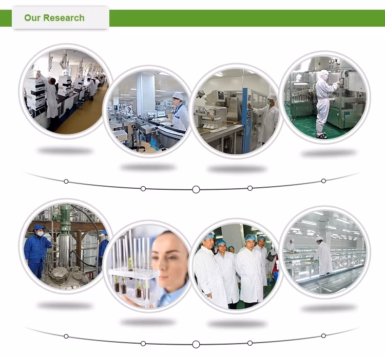 High Purity Vertinary Drug Sulfaquinoxaline Powder Animal Veterinary Drugs