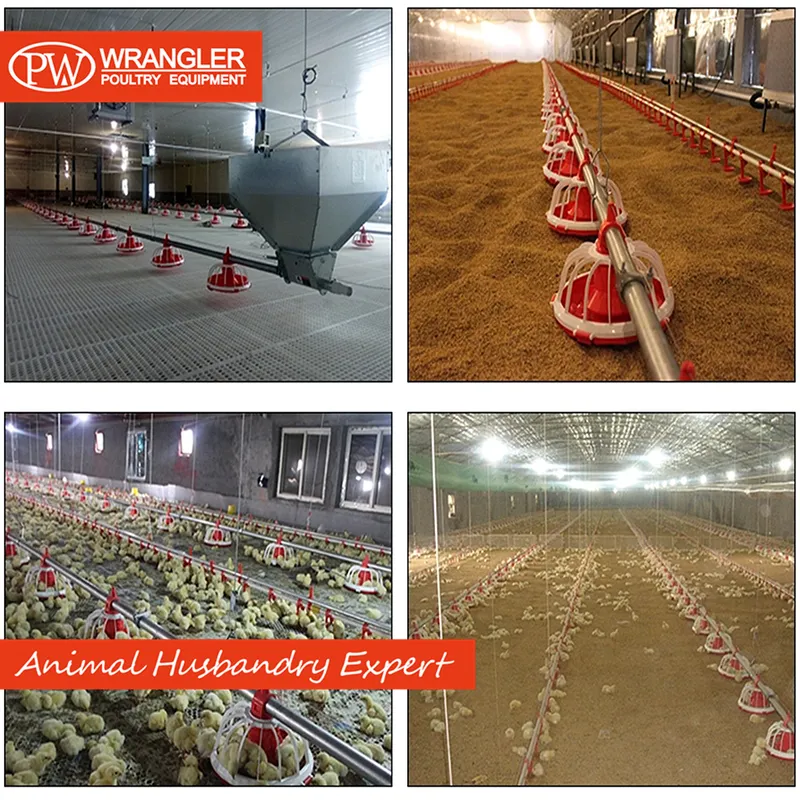 Poultry Feeder for Broiler Automatic Farm Equipment