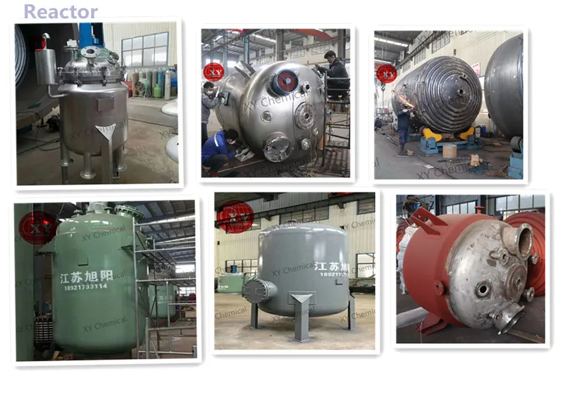 F Series Reactor Closed Style Stainless Steel Reactor, Bioreactor From Factory Equipment