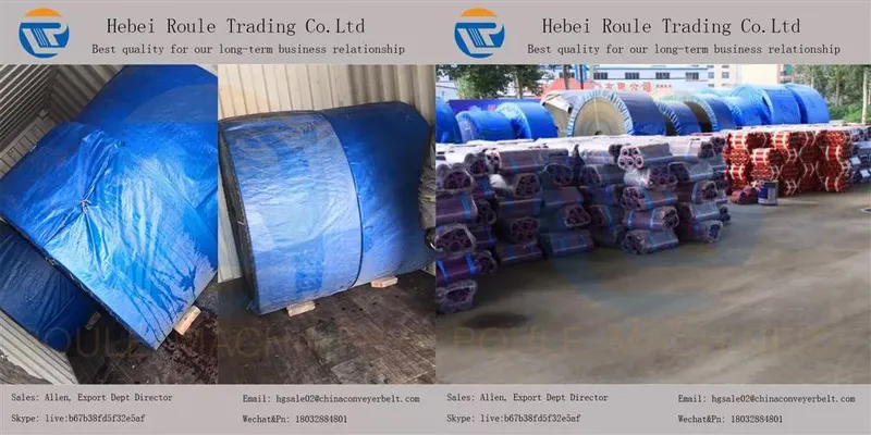 High Quality Customized Belt Conveyor / Flat Belt Conveyor