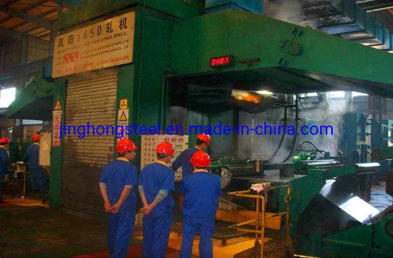 Dx51d PCM Metal/VCM Metal/Pre Coated Metal/Pre-Coated Metal/Prepainted Steel Coil