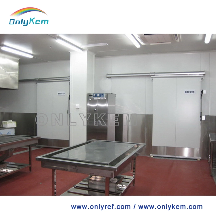 Slaughter Cold Room for Meat Chicken Chiller Freezer Deep Freezer